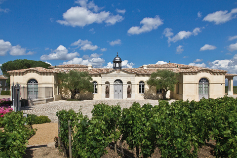 Da Bordeaux: tour enologico di mezza giornata a Saint-Émilion