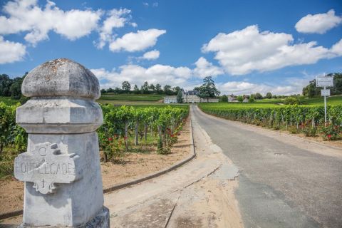 Saint-Émilion: tour di 1 giorno con degustazione di vini