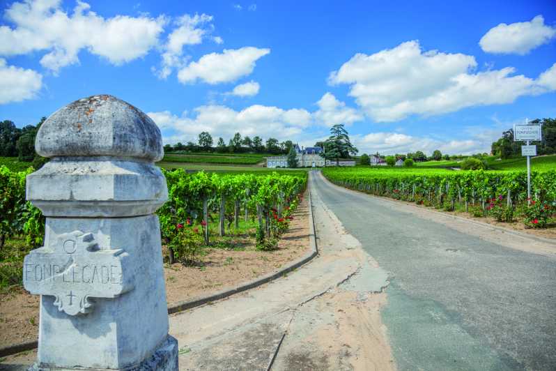 Fra Bordeaux: Heldagstur til St. Emilion med vinsmaking