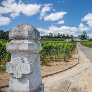 From Bordeaux: Full-Day St Emilion Wine Tasting Tour