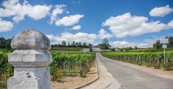 Von Bordeaux aus: Ganztagestour zur Weinverkostung in St. Emilion