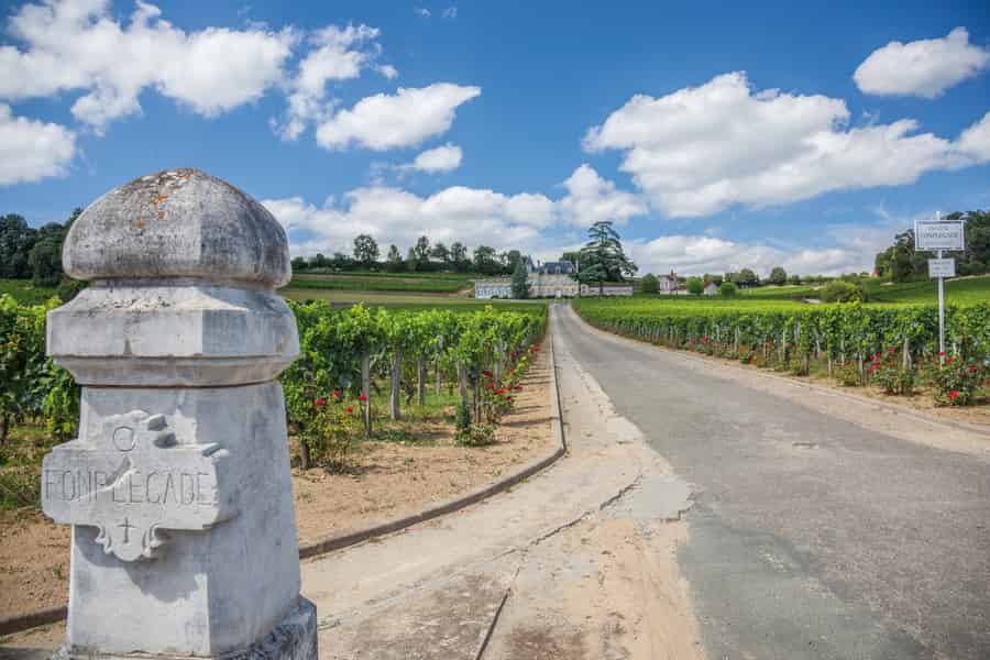 Von Bordeaux aus: Ganztagestour zur Weinverkostung in St. Emilion. Foto: GetYourGuide