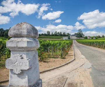 From Bordeaux: Full-Day St Emilion Wine Tasting Tour