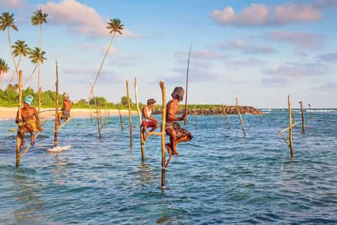 Colombo: Galle Day Tour con pesca de zancos