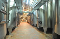 Tour del vino di Bordeaux di mezza giornata a Medoc - Hizvo