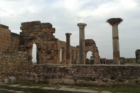 From Fez: Volubilis Moulay Idriss & Meknes Full-Day Trip