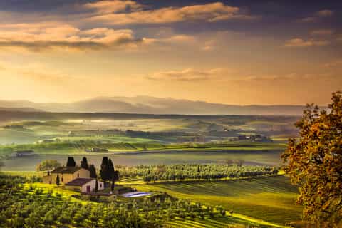 From Florence: Private Half-Day Chianti Tour & Wine Tasting