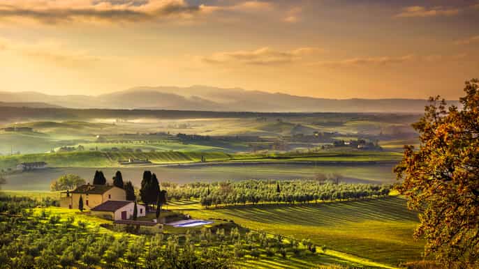 from florence private halfday chianti tour wine tasting