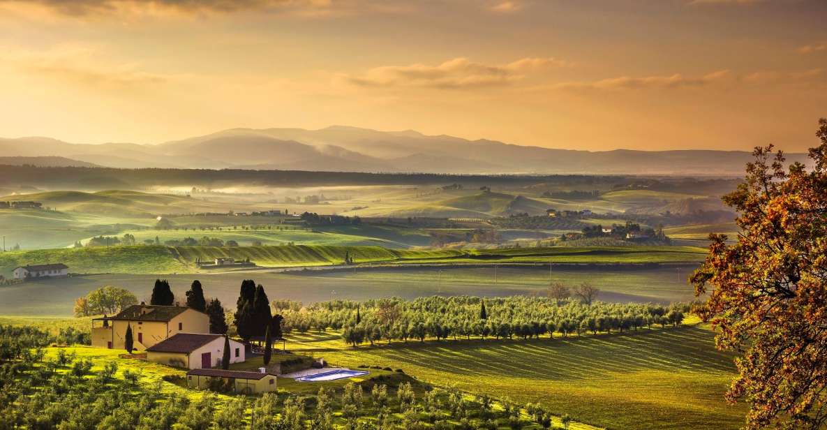 Private Half-Day Chianti Tour & Wine Tasting From Florence