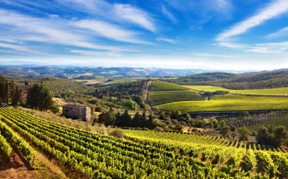 Ab Florenz: Private Halbtagestour & Chianti-Weinverkostung