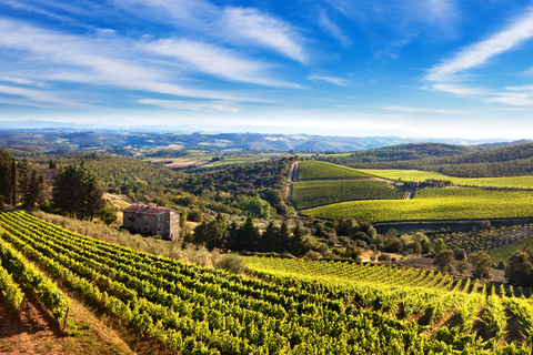 Desde Florencia: tour privado de medio día por Chianti y degustación de vinos