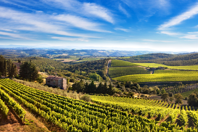 De Florence: visite privée d'une demi-journée du Chianti et dégustation de vins