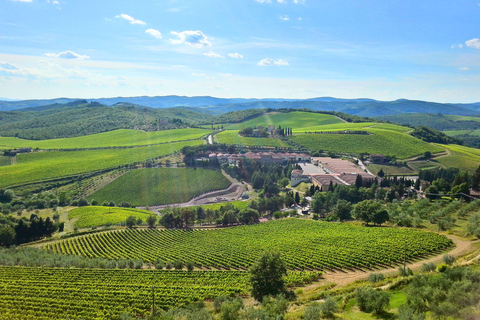 De Florence: visite privée d'une demi-journée du Chianti et dégustation de vins