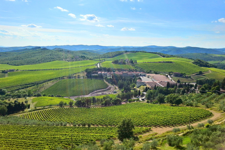 Desde Florencia: tour privado de medio día por Chianti y degustación de vinos