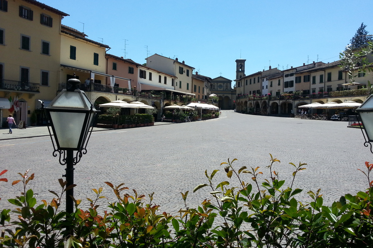 De Florence: visite privée d'une demi-journée du Chianti et dégustation de vins