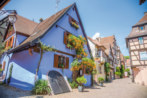 Alsace: Full-Day Wine Tour & Tastings from Strasbourg