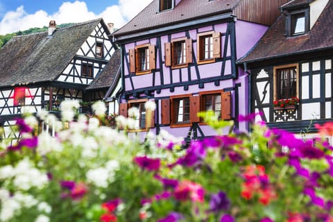 Fra Colmar: Halvdagstur til landsbyer i Alsace