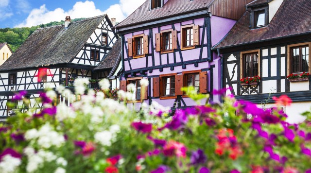 Visit Alsace Villages Half-Day Tour from Colmar in Colmar