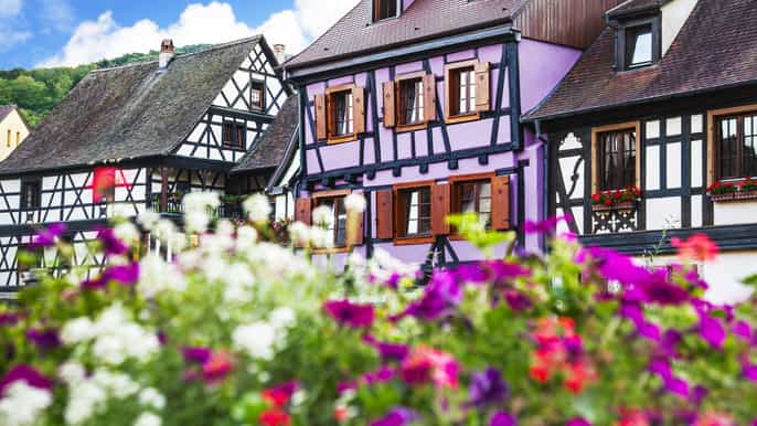alsace villages halfday tour from colmar