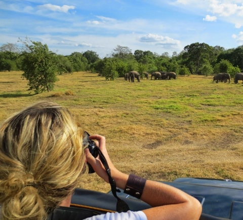 Safaris & wildlife activities