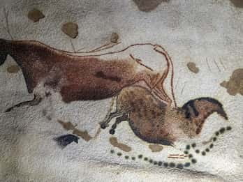 From Sarlat: Half-Day Skip-the-Line Lascaux IV Tour