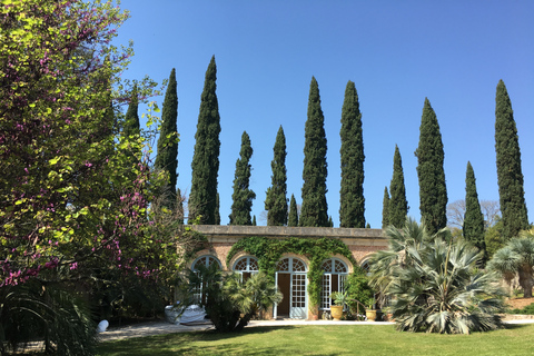 I castelli di Grès de Montpellier e degustazione di vini