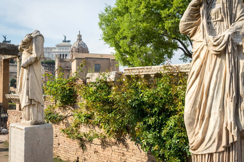 Roma: Visita al Coliseo, la Arena de los Gladiadores y el Foro RomanoColiseo Arena de los Gladiadores y Foro Romano Visita autoguiada