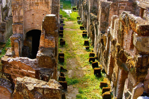 Roma: Visita al Coliseo, la Arena de los Gladiadores y el Foro RomanoColiseo Arena de los Gladiadores y Foro Romano Visita autoguiada
