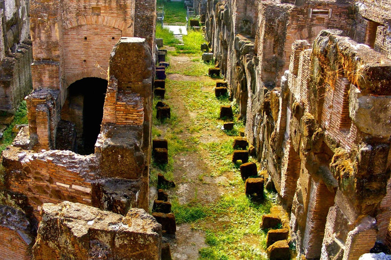 Roma: Visita al Coliseo, la Arena de los Gladiadores y el Foro RomanoColiseo Arena de los Gladiadores y Foro Romano Visita autoguiada