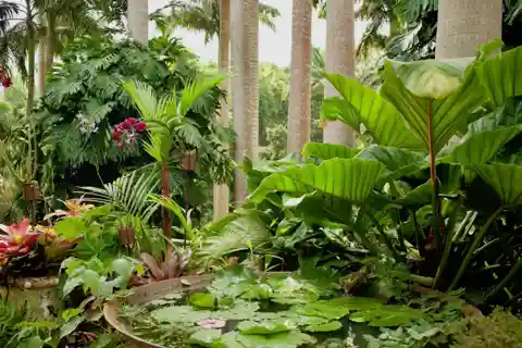 Barbados: Visita a Harrison's Cave & Hunte's Gardens
