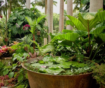 Barbados: Tour of Harrison's Cave & Hunte's Gardens