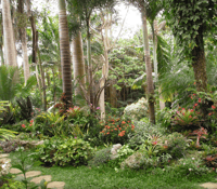 Barbados, Tour durch Harrisons Cave & Hunte's Gardens - Housity