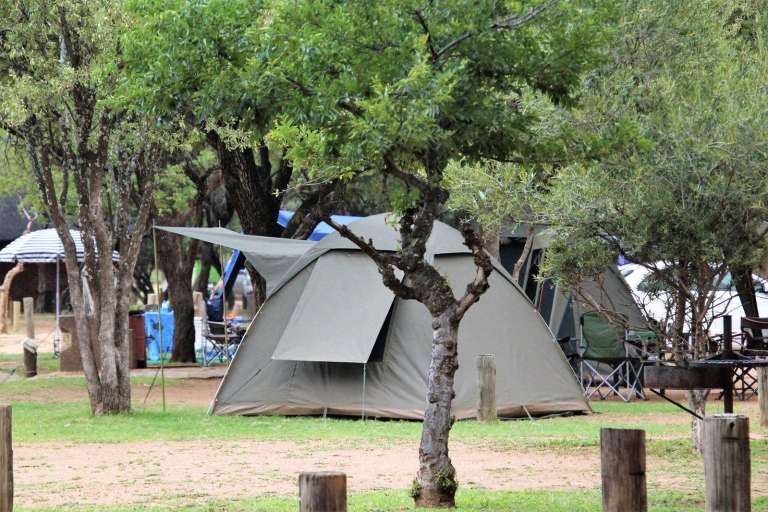 Johanessburg: 3 días de aventura en el camping Pilanesberg