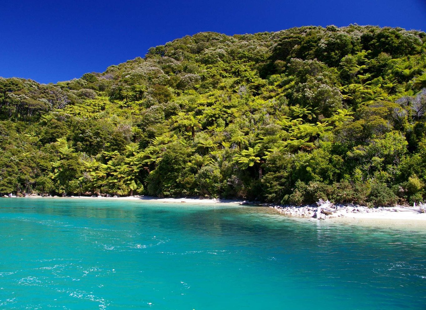 Naturskønt krydstogt i Abel Tasman Nationalpark