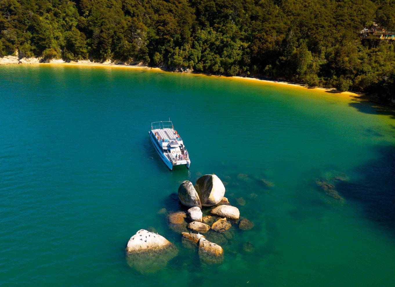 Naturskønt krydstogt i Abel Tasman Nationalpark