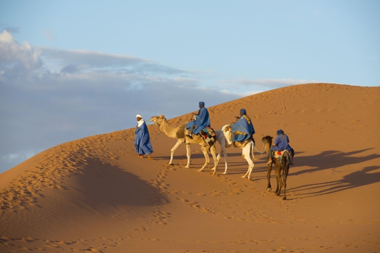 Desde Agadir: Paseo en Camello y Excursión a los Flamencos