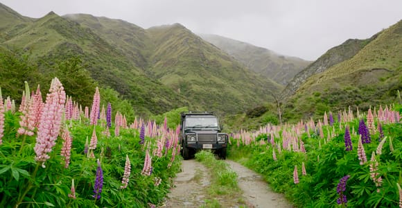 Queenstown: Macetown 4WD Adventure Tour - Full Day
