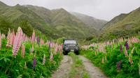 Macetown, Gold Heritage 4WD Tour - Housity