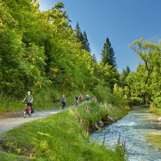 Queenstown: Half-Day Guided Ebike Wine Tour