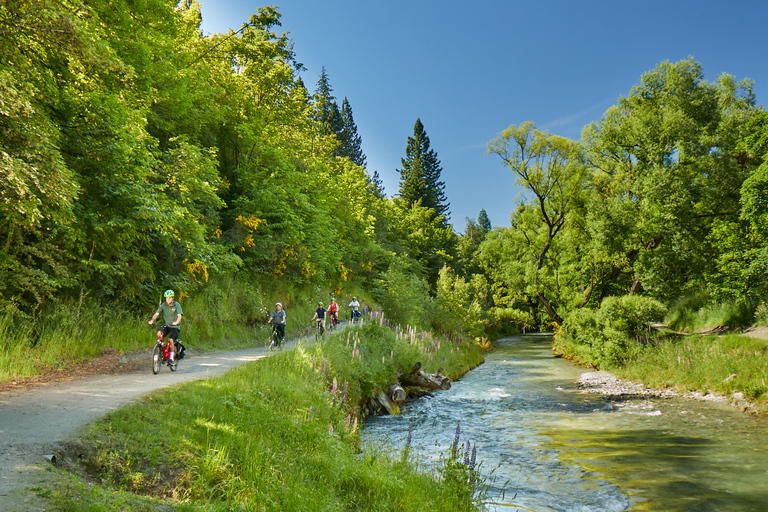 Queenstown: Half-Day Guided Ebike Wine Tour