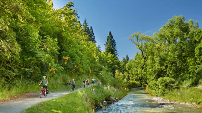 queenstown halfday guided ebike wine tour