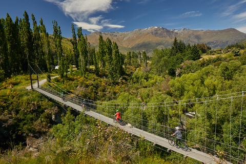 Queenstown: Half-Day Guided Ebike Wine Tour
