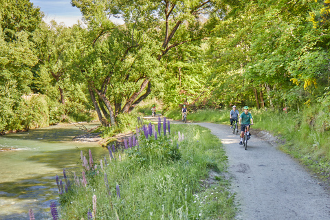 Queenstown: Half-Day Guided Ebike Wine Tour