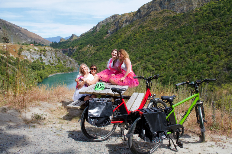 Queenstown: Half-Day Guided Ebike Wine Tour