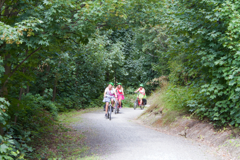 Queenstown: Half-Day Guided Ebike Wine Tour