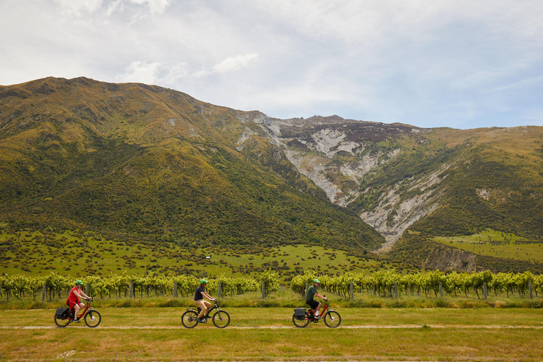 Queenstown: Half-Day Guided Ebike Wine Tour