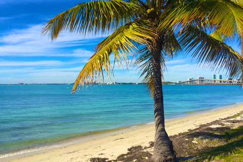 Miami: Windsurfen für Anfänger und Könner1 Stunde Windsurfen