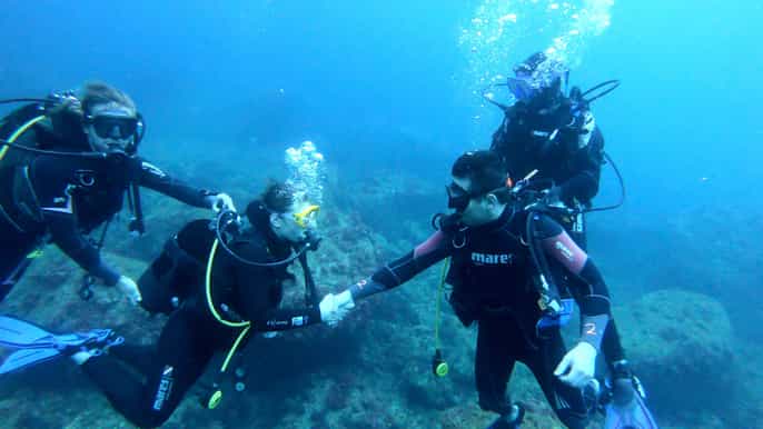lestartit try dive snorkeling in montgrí national park