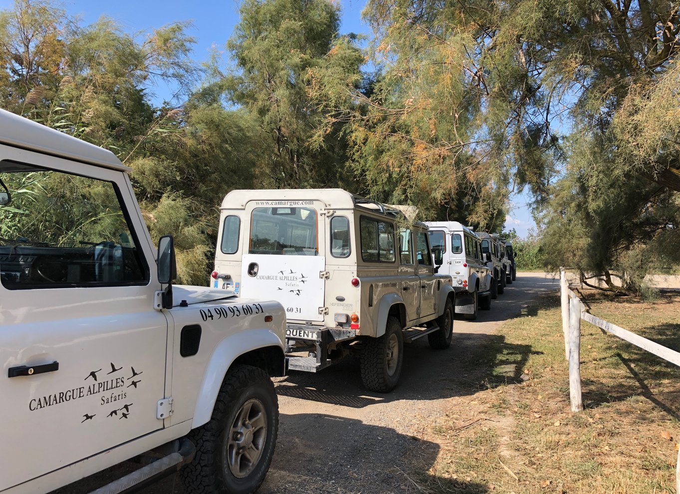 Fra Arles: Halvdags 4x4-safari i Camargue