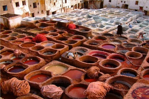 Fes Cultural Day Tour